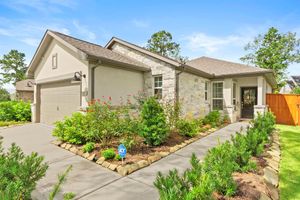247 N WILD PETUNIA TRL, MONTGOMERY, TX