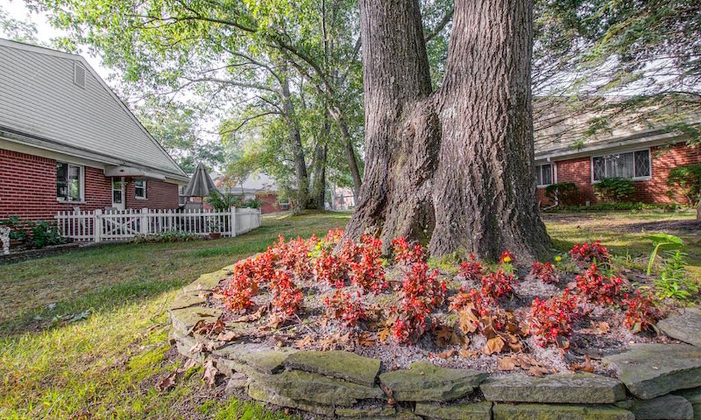 Beautiful Landscaping