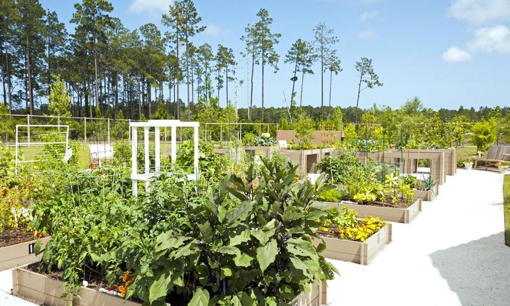 Gardening Plots
