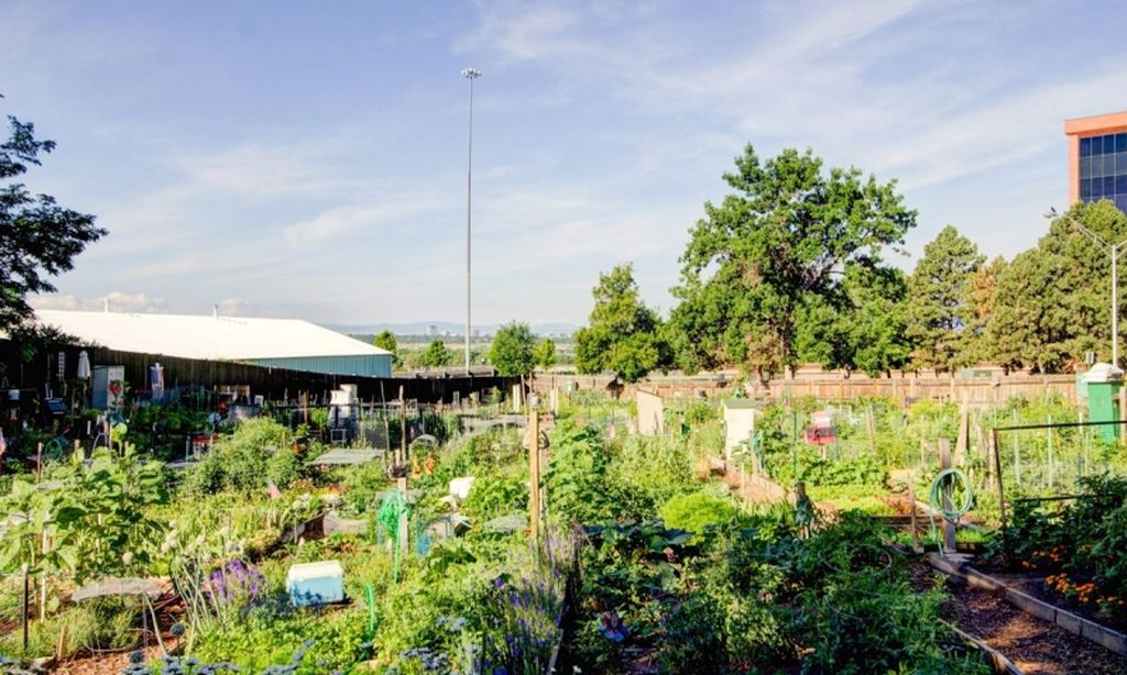 Community Gardens