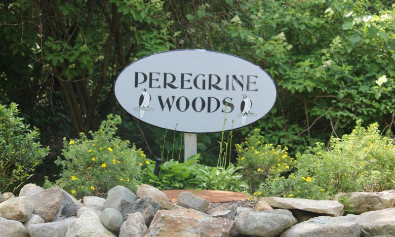 Peregrine Woods - Marshfield, MA