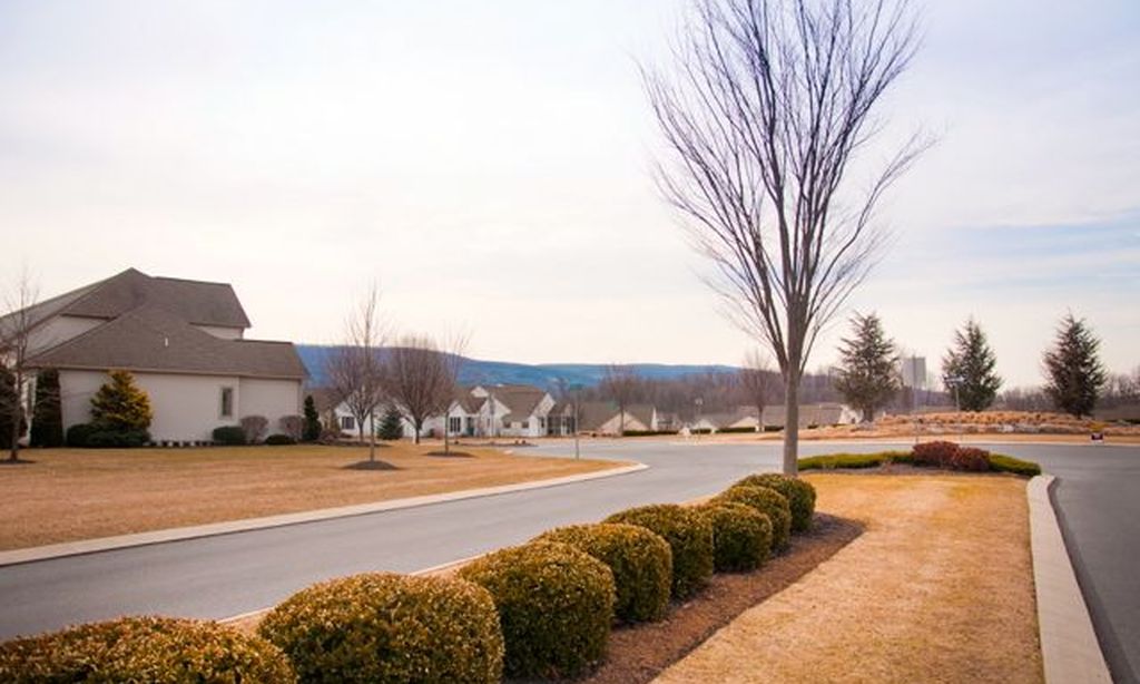 Landscaped Common Areas