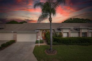 1105 FLORA VISTA ST, TRINITY, FL