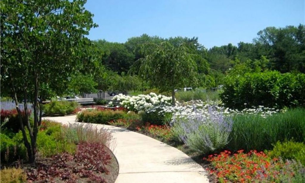 Scenic Walking Paths