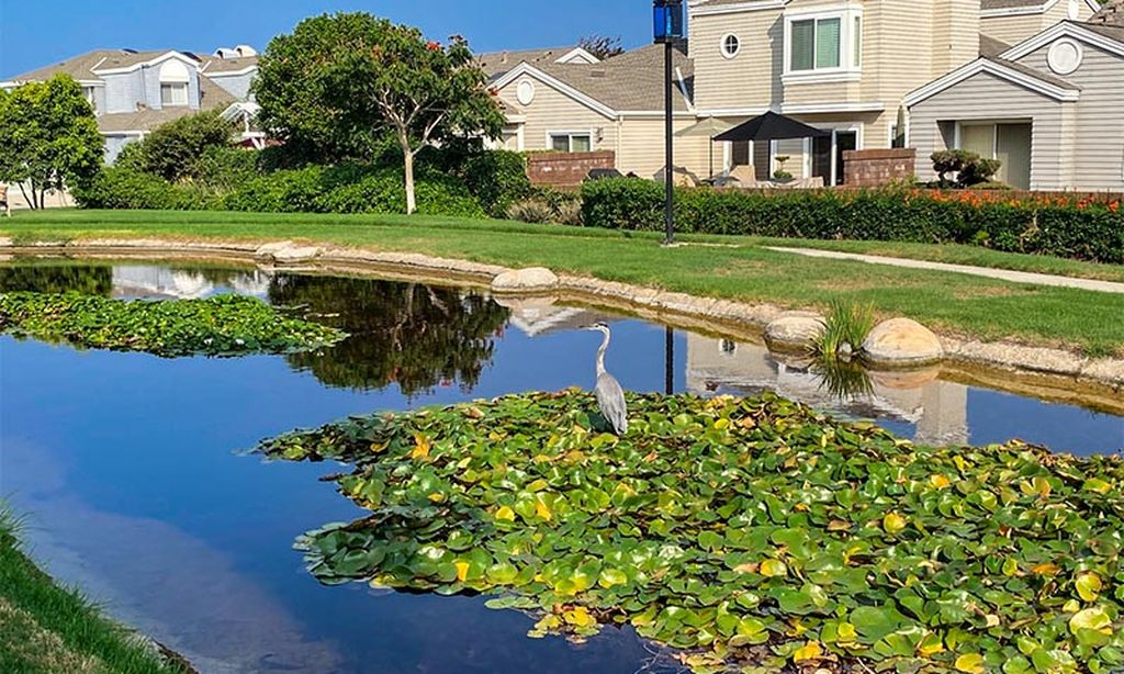 Single-Family & Attached Homes