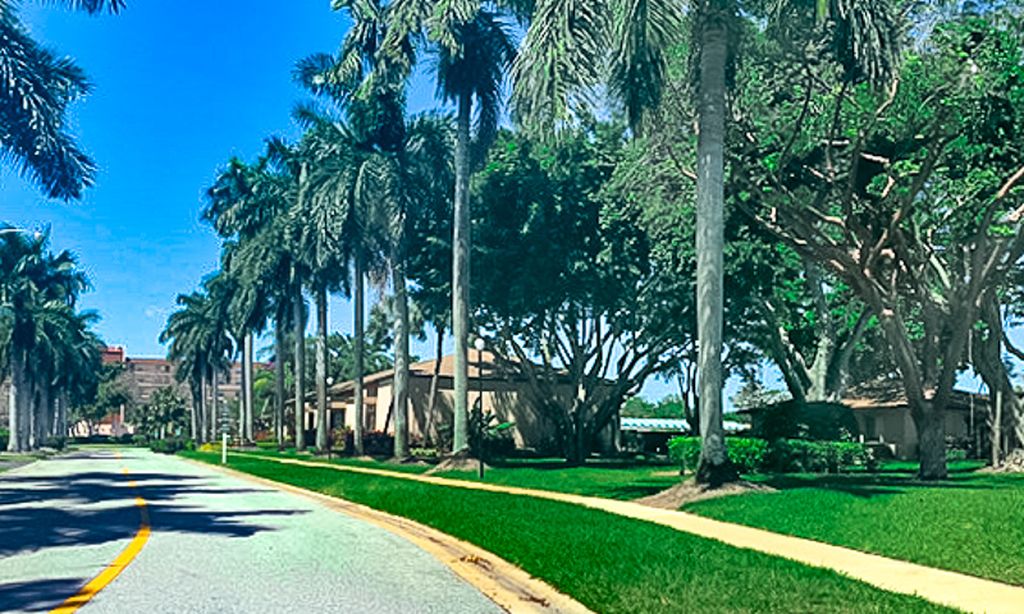 Tree-Lined Walking Paths