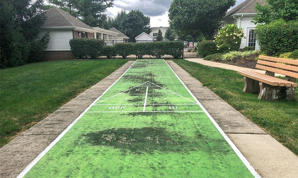 Shuffleboard Court