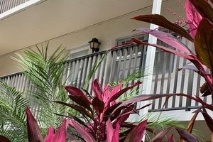 840 VIRGINIA ST 202, DUNEDIN, FL