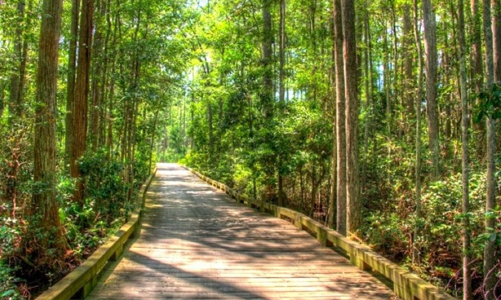 Scenic Walking Trails