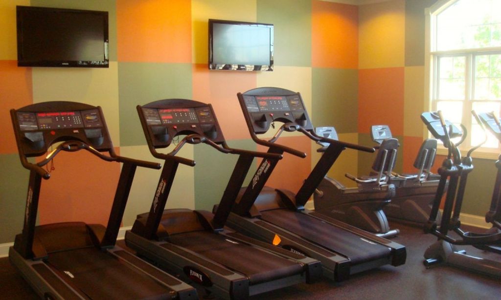 Modern Exercise Equipment
