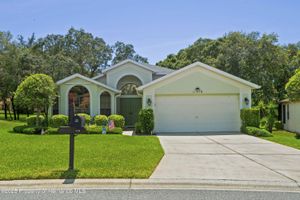 11378 DEERCROFT CT, SPRING HILL, FL