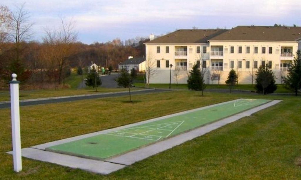 Shuffleboard Court