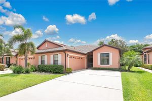 163 SHELL FALLS DR, APOLLO BEACH, FL