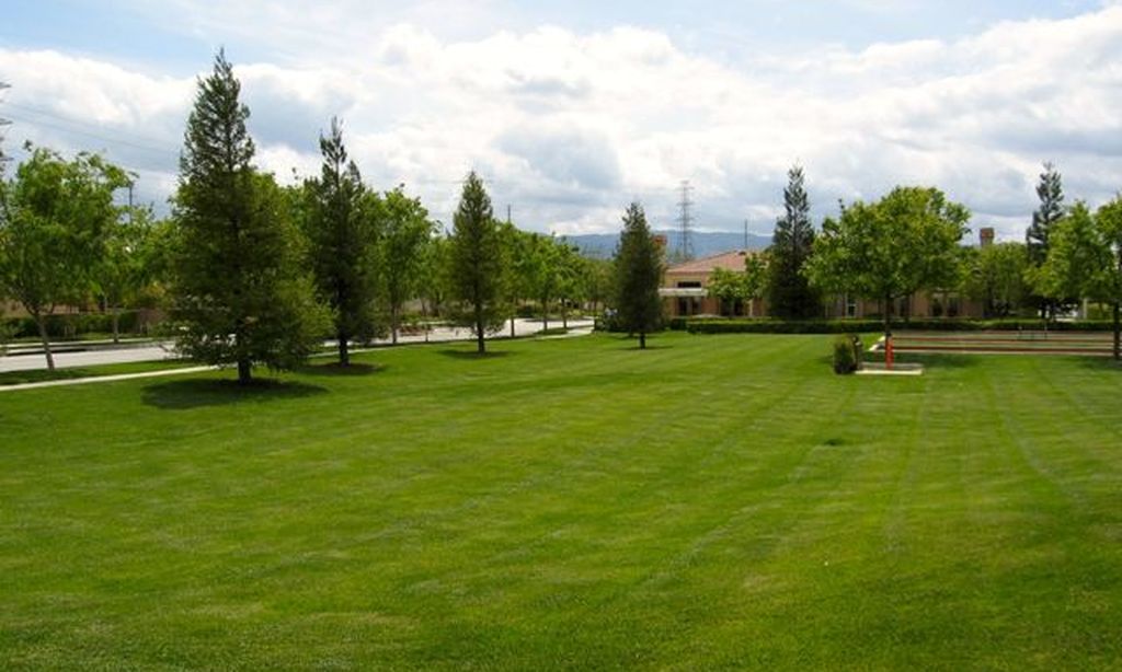 Beautiful Landscaped Lawns