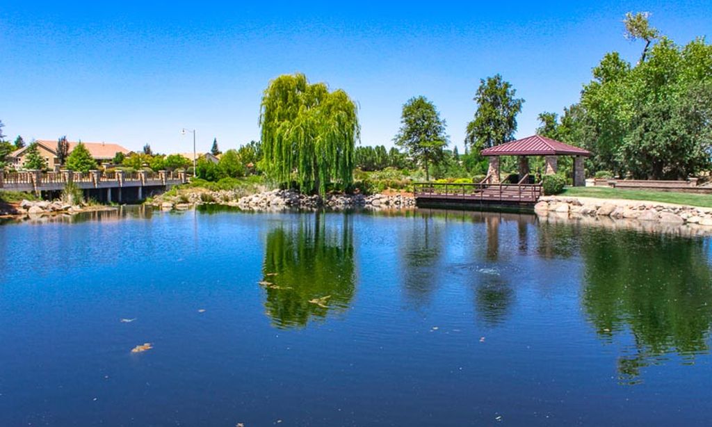 Beautiful Water Features