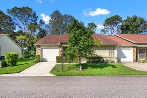 6590 BRAMBLELEAF DR, SPRING HILL, FL