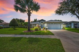 1311 EVENINGSIDE CT, TRINITY, FL