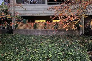 , WALNUT CREEK, CA