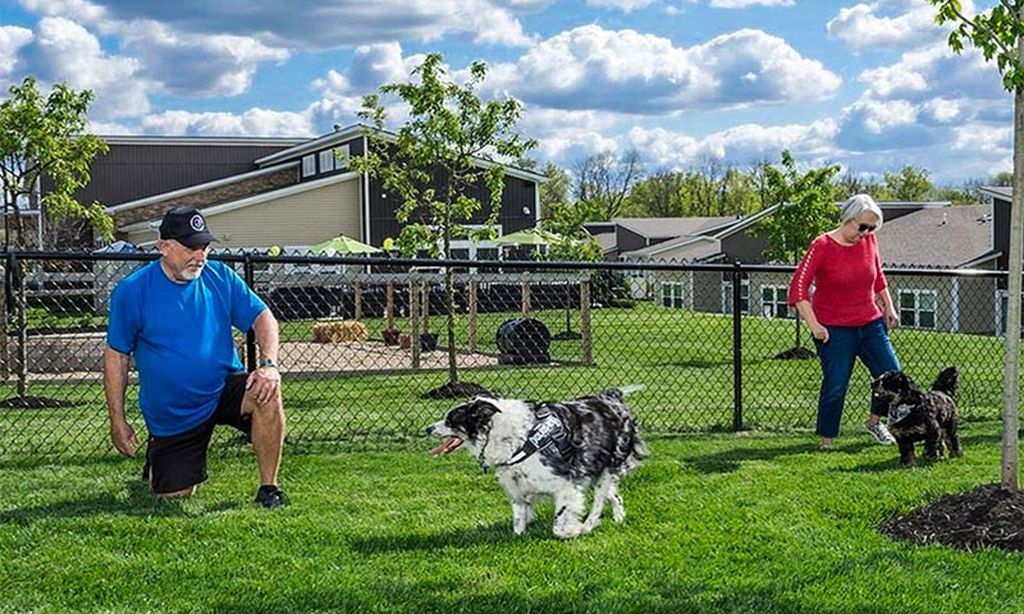 Dog Park