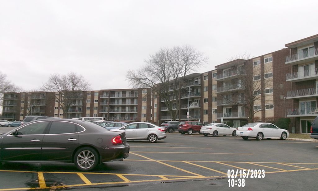 Cameo community photo 2