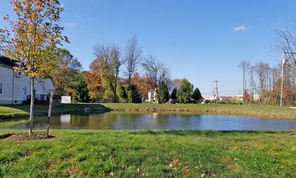 Community Pond
