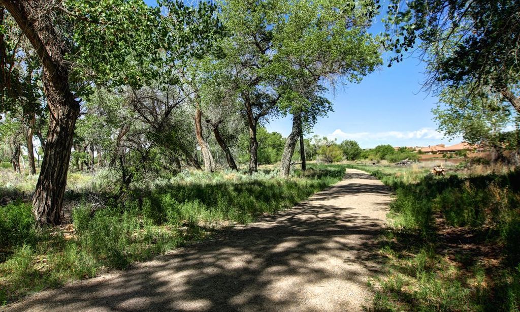 Paseo Del Bosque Preserve