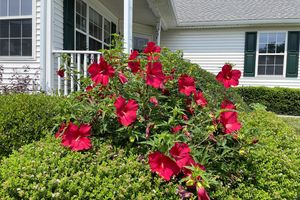 781 W GLENVIEW DR, WEST GROVE, PA