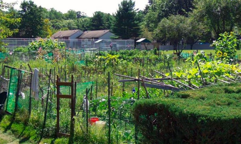 Community Gardens