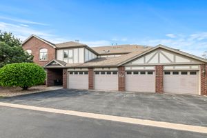 6248 MISTY PINES DR 4, TINLEY PARK, IL