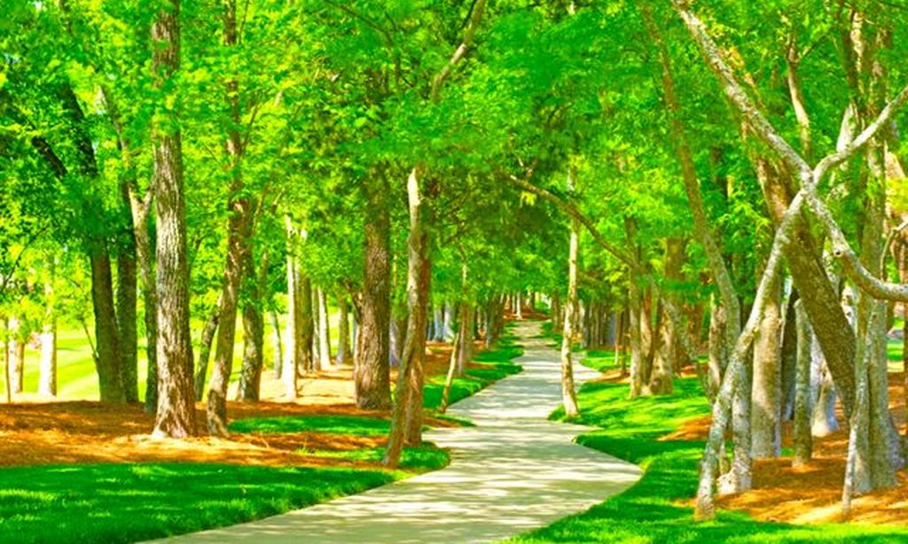 Walking & Biking Trails