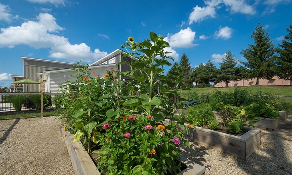 Community Garden