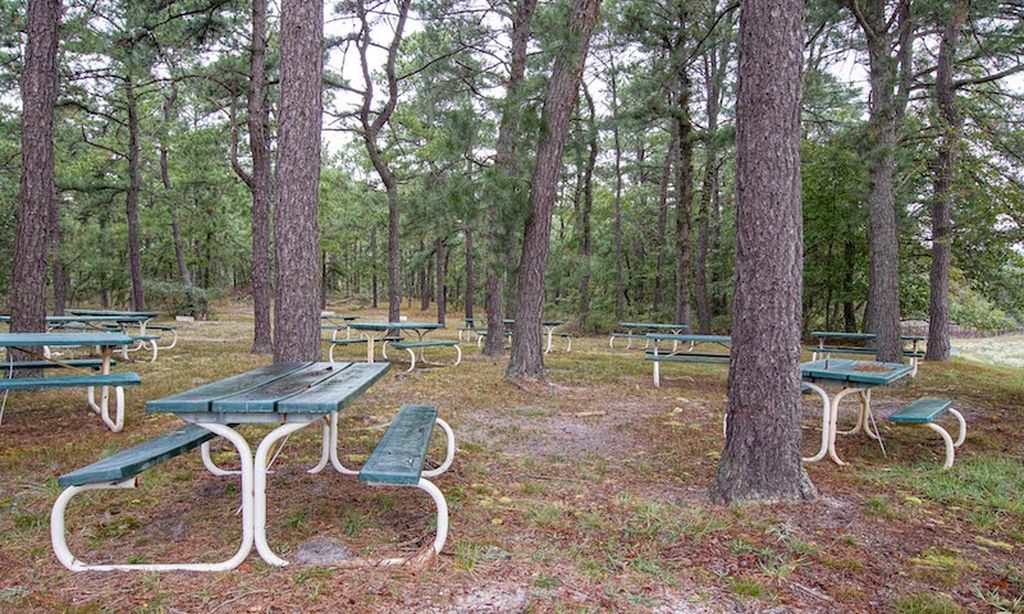 Picnic Area