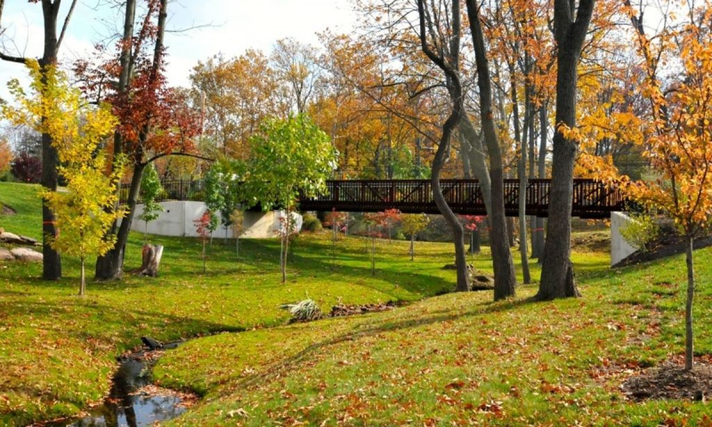 Tree-Lined Walking Trail
