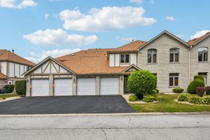 6514 PINE TRAIL LN 2, TINLEY PARK, IL