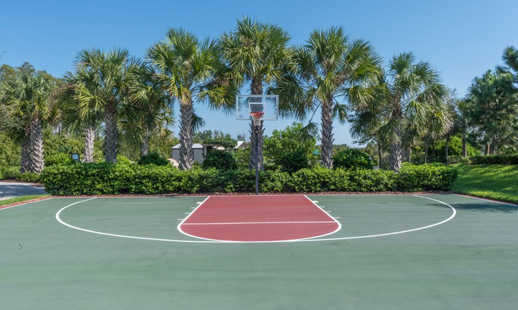 Half Court Basketball