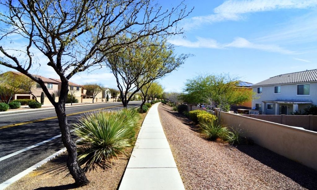 Tree-lined Neighborhood Streets