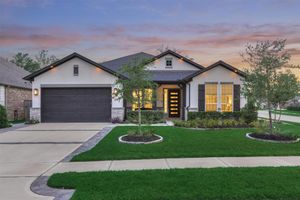119 GOLDENWAVE LOOP, MONTGOMERY, TX
